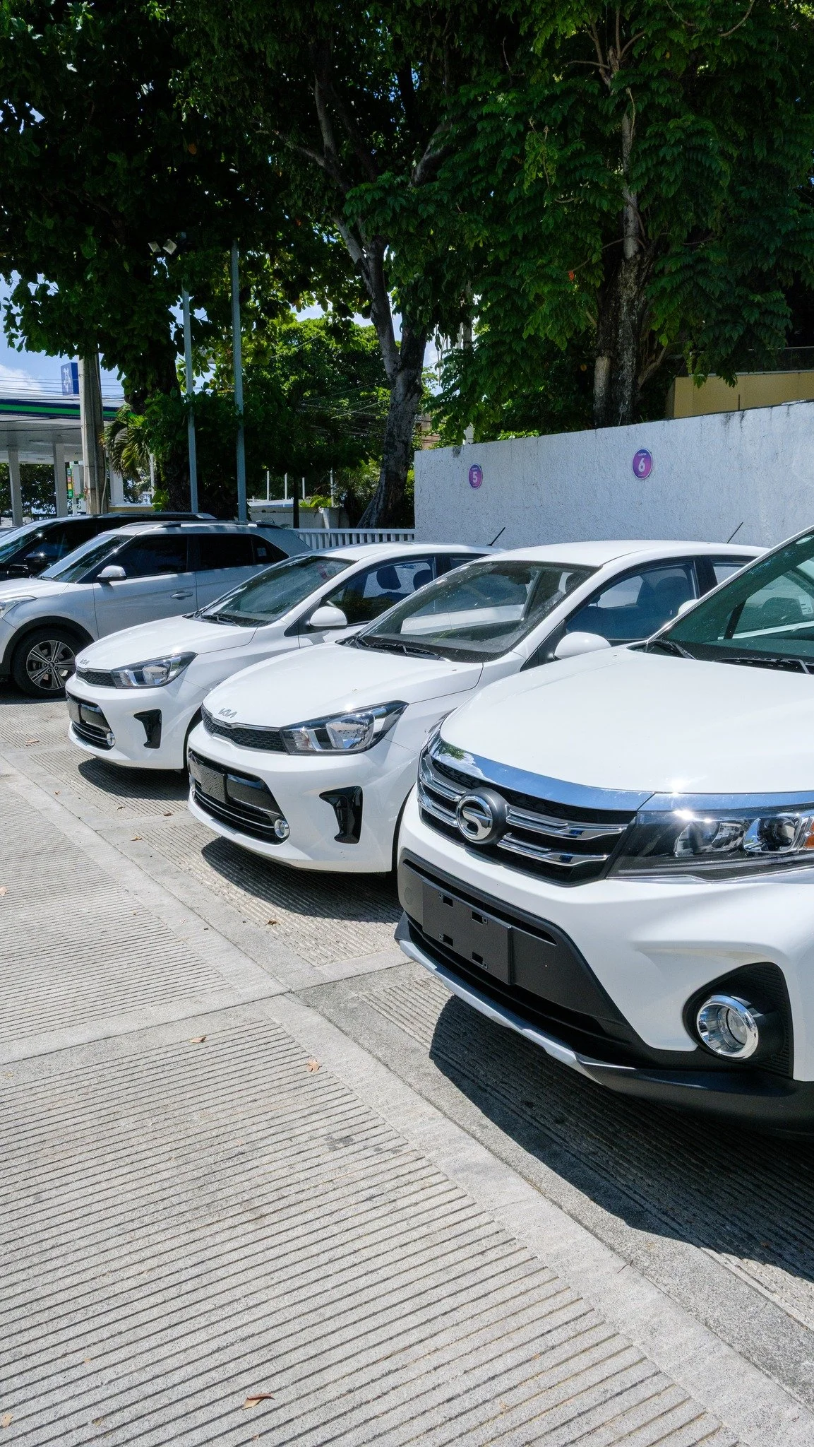 Confiabilidad, variedad y seguridad en un sólo lugar. Nuestra flota está lista para acompañarte en cada camino. 🚗✨ 
Agenda el vehículo de tu preferencia al 📲 809-687-0505 o en www.amerirentcarrental.com
#AmeriRent #EsM