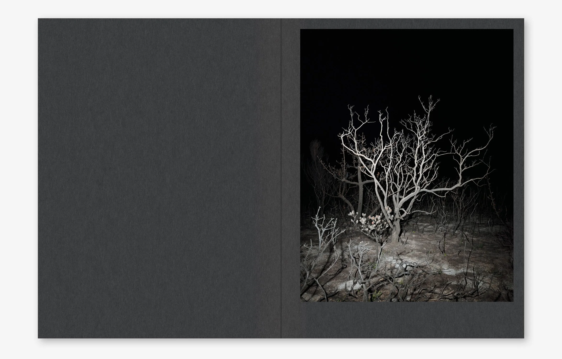 burn-index-02.jpg