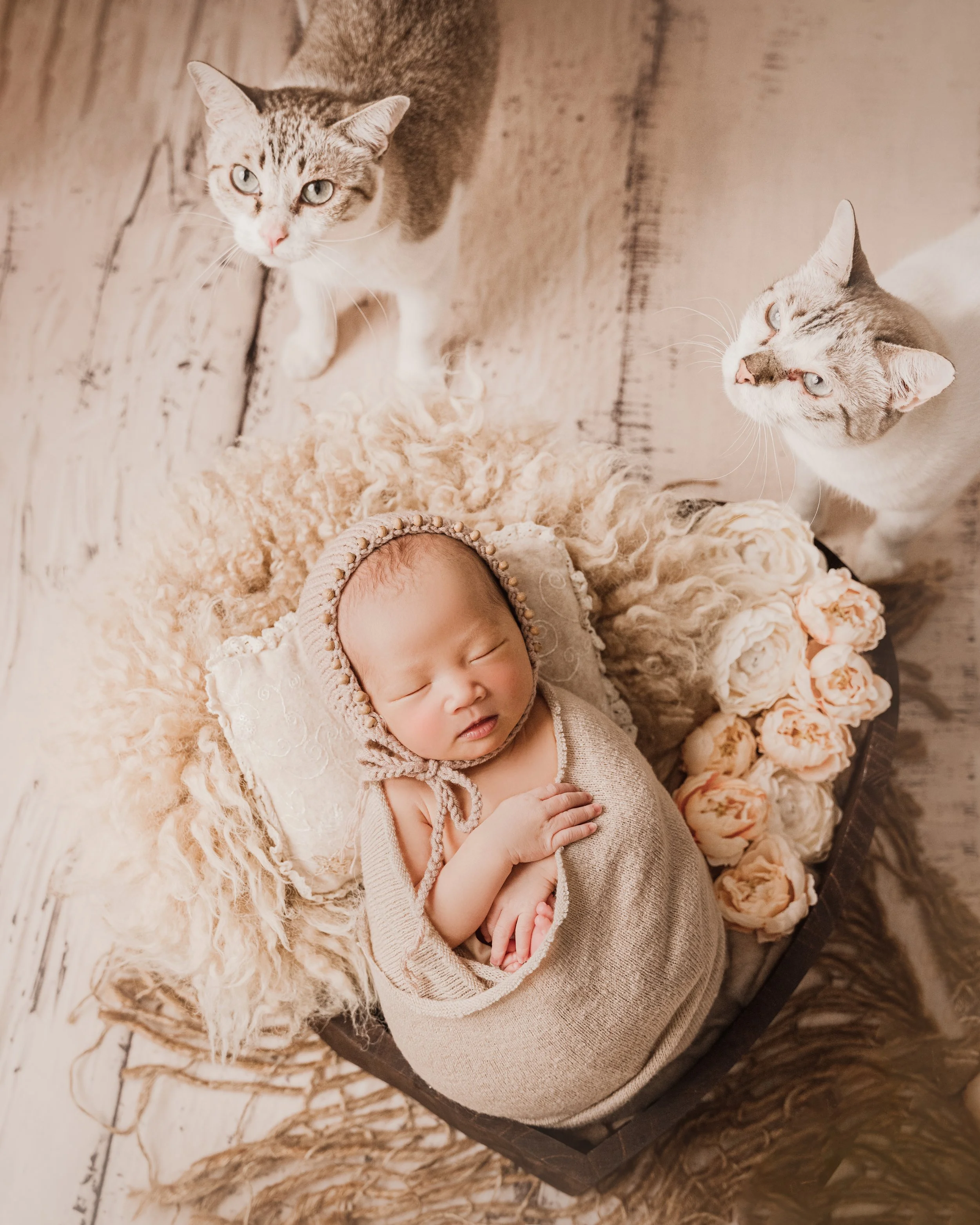 Singapore Newborn Photography