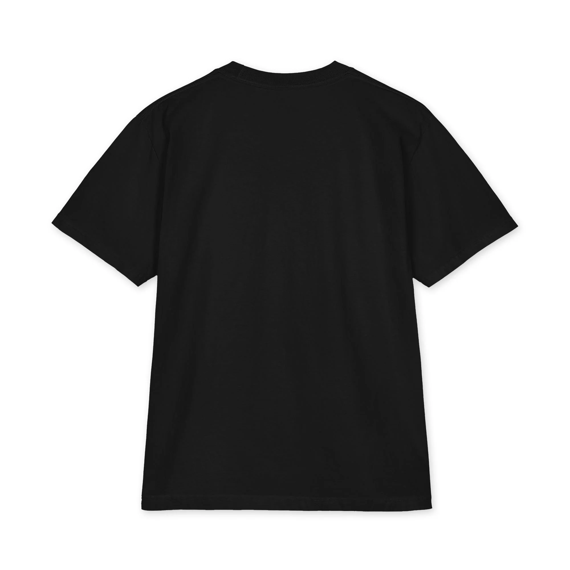 unisex-max-heavyweight-short-sleeve-black-back-6adb0eaad68db.jpg