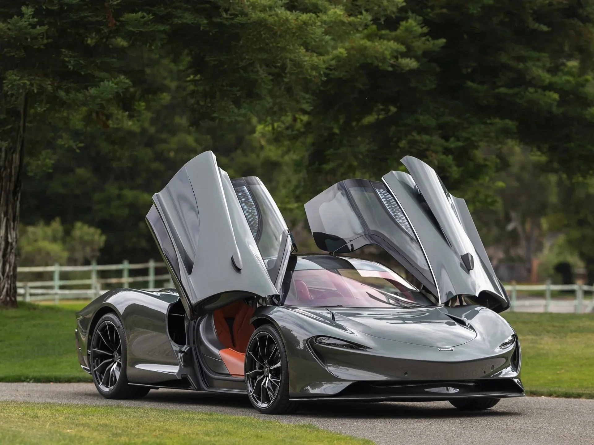 A sleek silver sports car with upward-opening doors parked on a grassy area in front of trees.