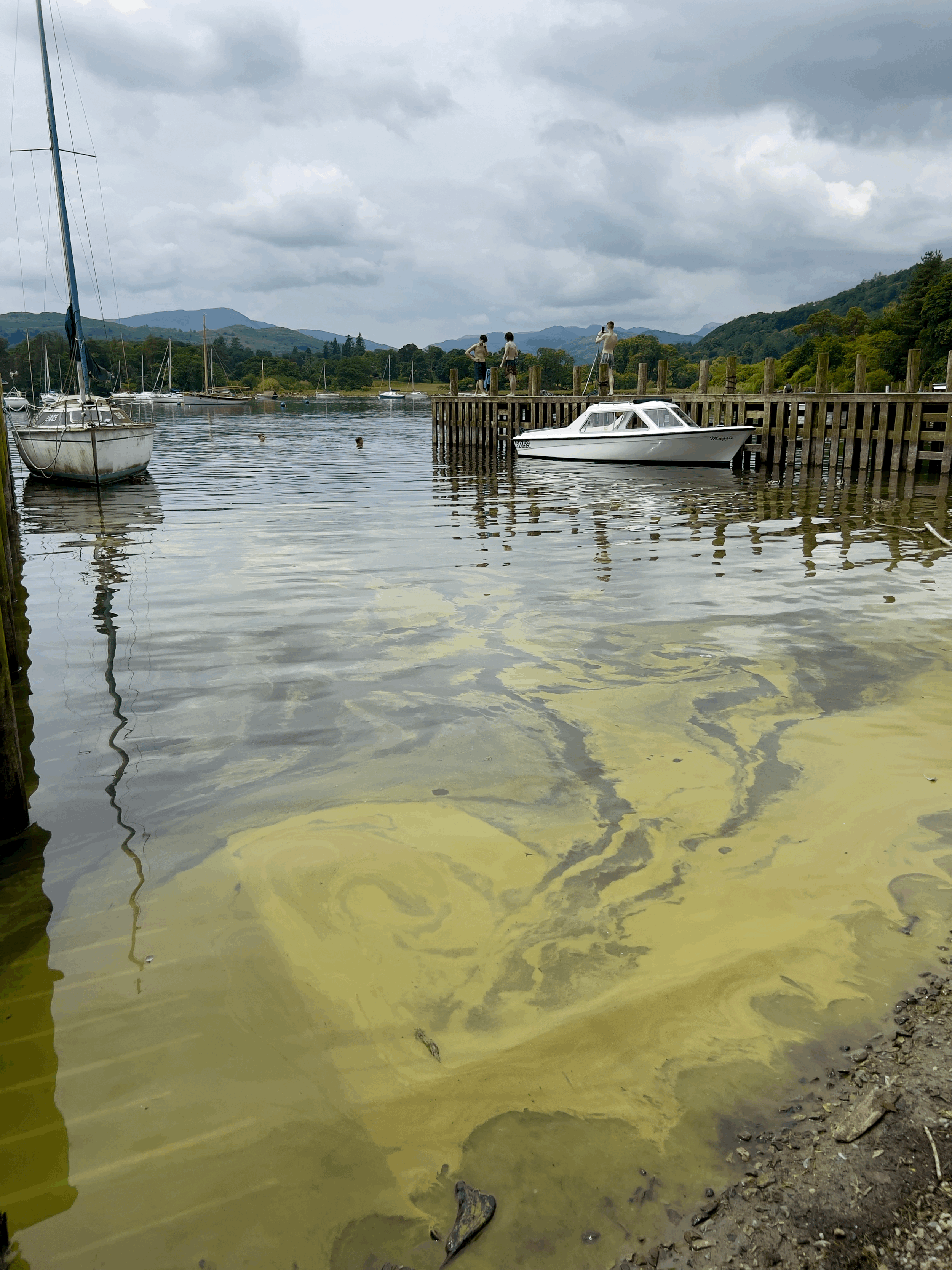 June 2024 Blue Green Algae samples exceeded WHO limits for recreational use of Windermere