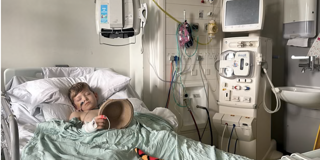 Bathing Water in Windermere: Is it safe to swim?