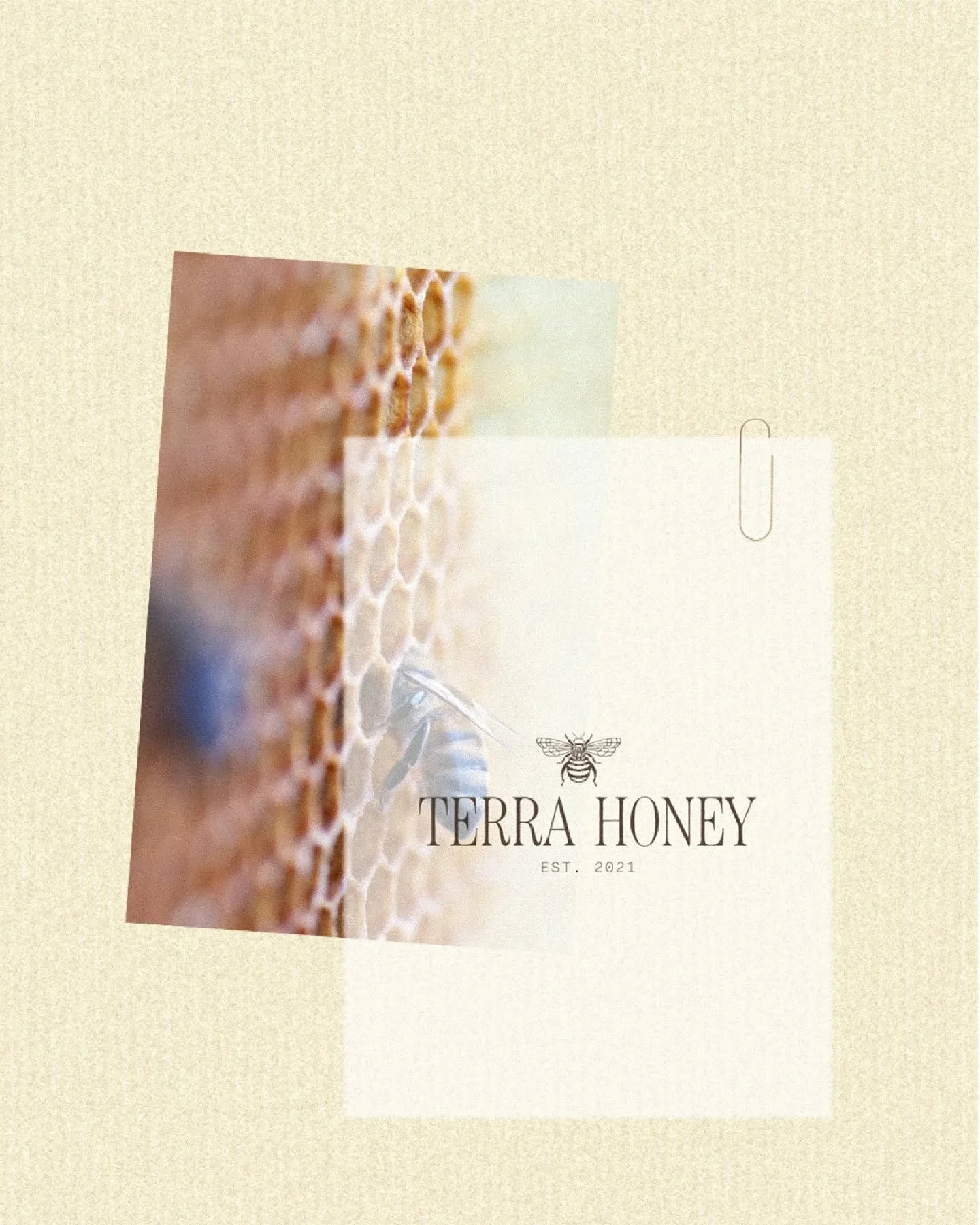 Meet Terra Honey. 🐝

Think of sun-kissed fields, wildflowers in bloom and bees wandering freely. Every drop of this unfiltered honey carries the warmth and soul of nature. Pure, golden &amp; shaped entirely by the land. 🌼

Brief by @briefarchive. #