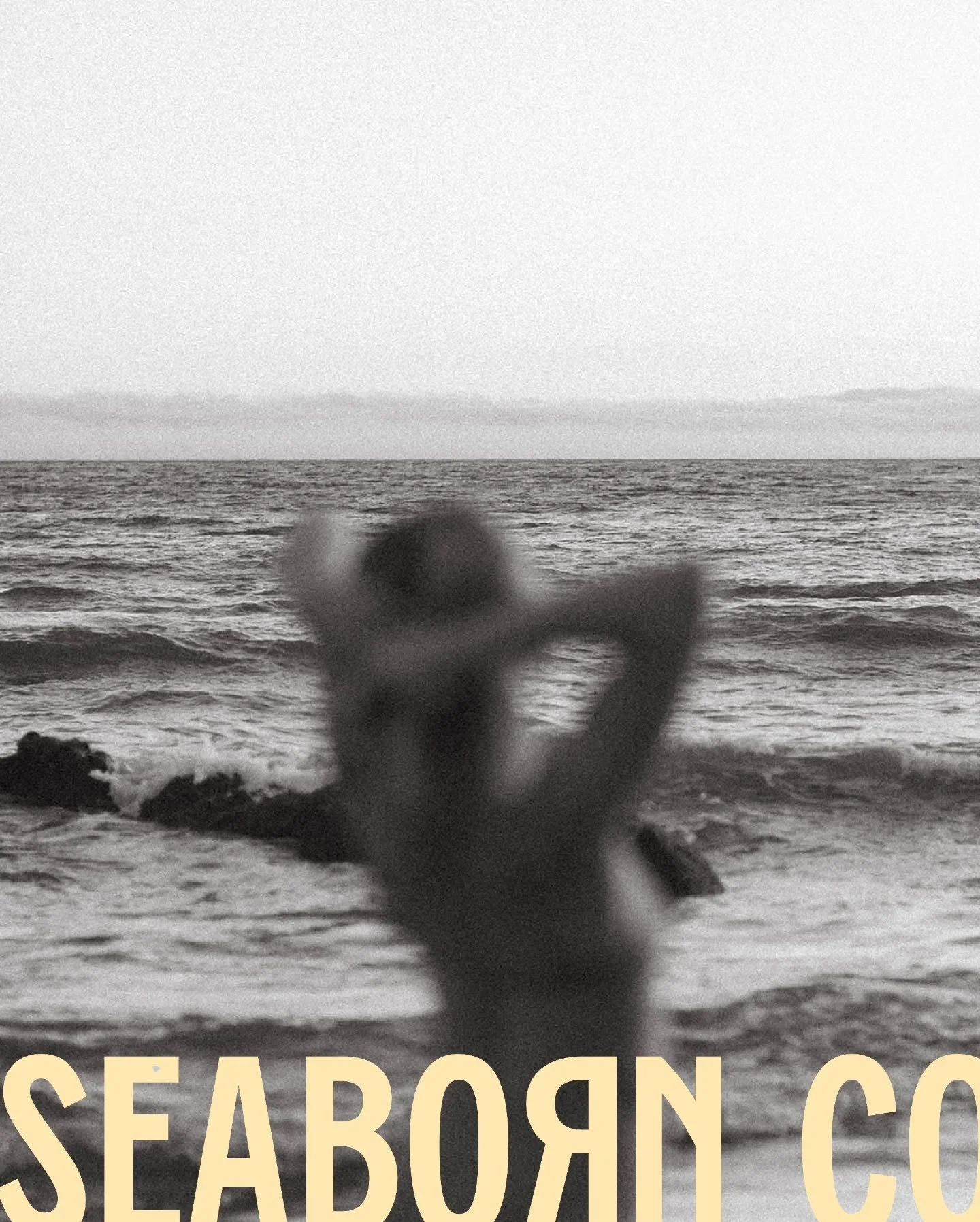 Seaborn PT ✌🏻. Zie den uitleg onder de vorige post. Ok bye!

#branddesign #brandingstudio #bmu_sb 
[logodesign, branding, graphic designer, designbrief, passionproject, swimwear apparel, briefmeup, huisstijlontwerp]