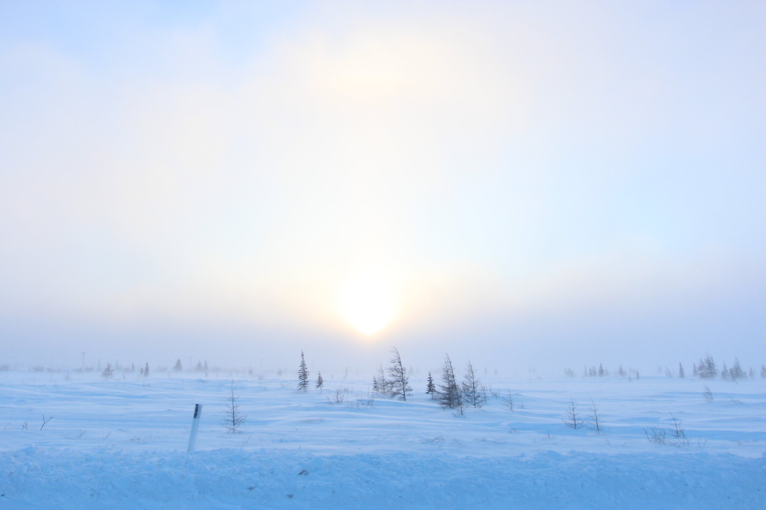 Tundra sunset. Churchill, Manitoba, 2025