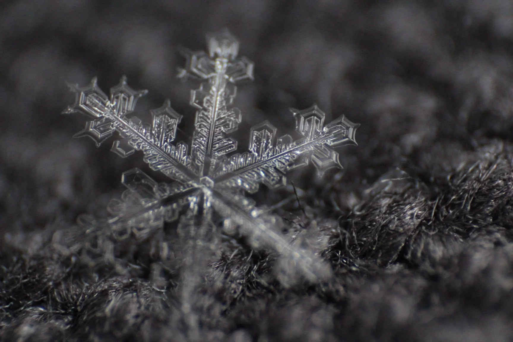 snowflake.jpg