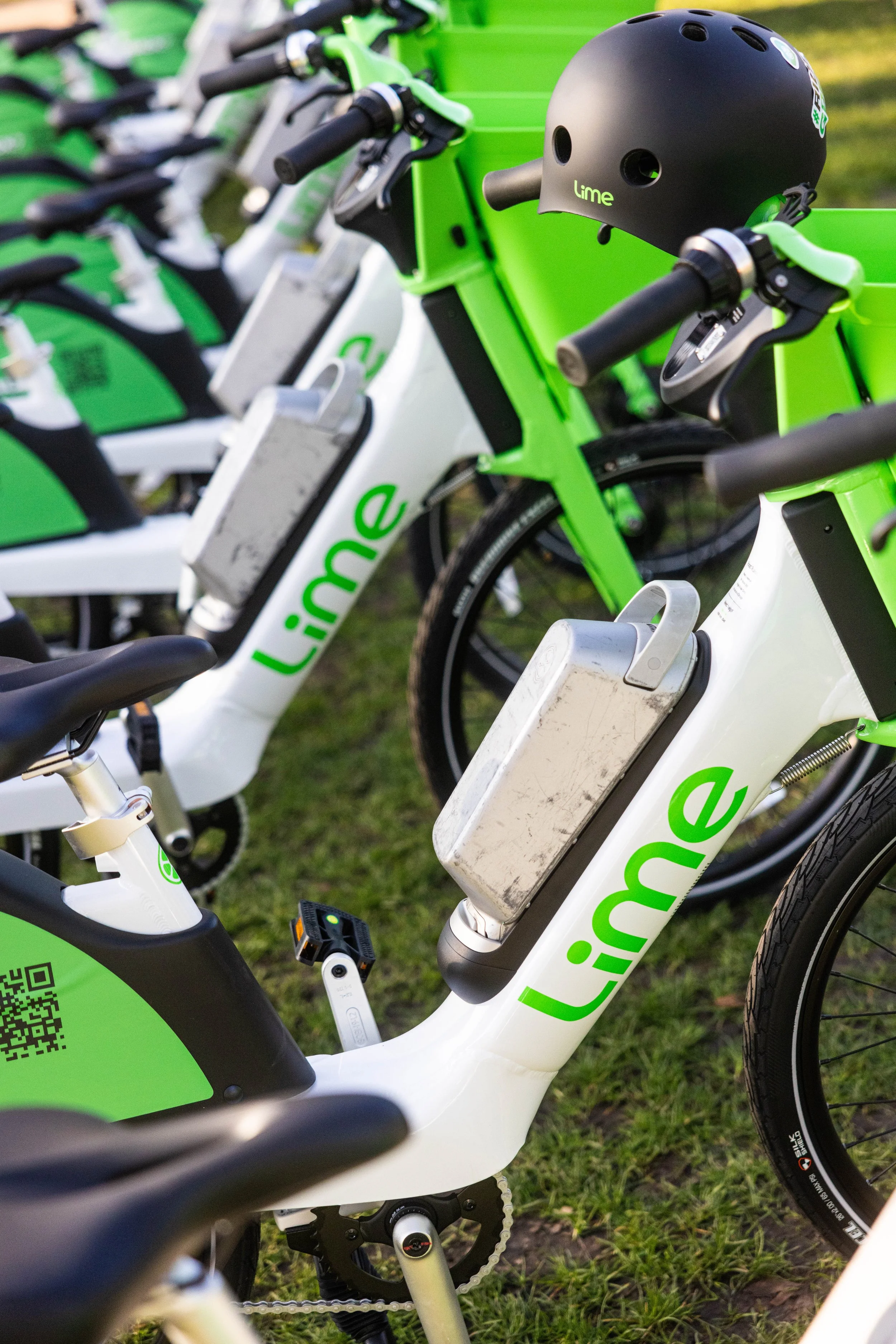 Lime16.jpg