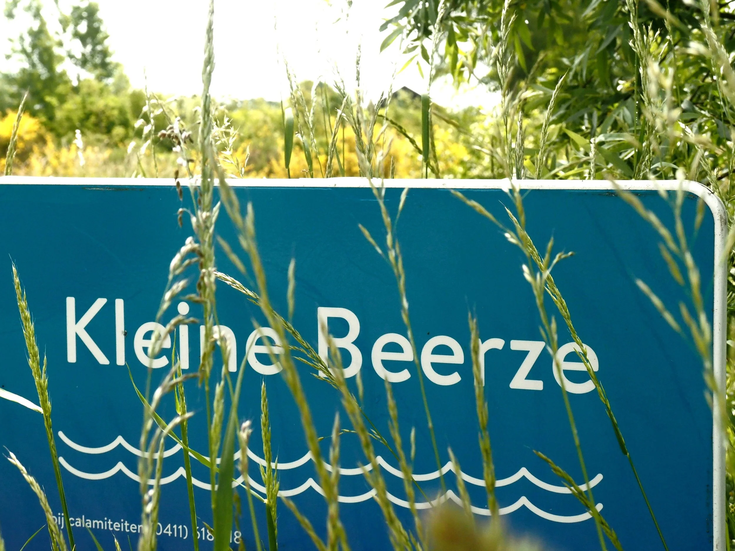 bord kleine beerze.jpg