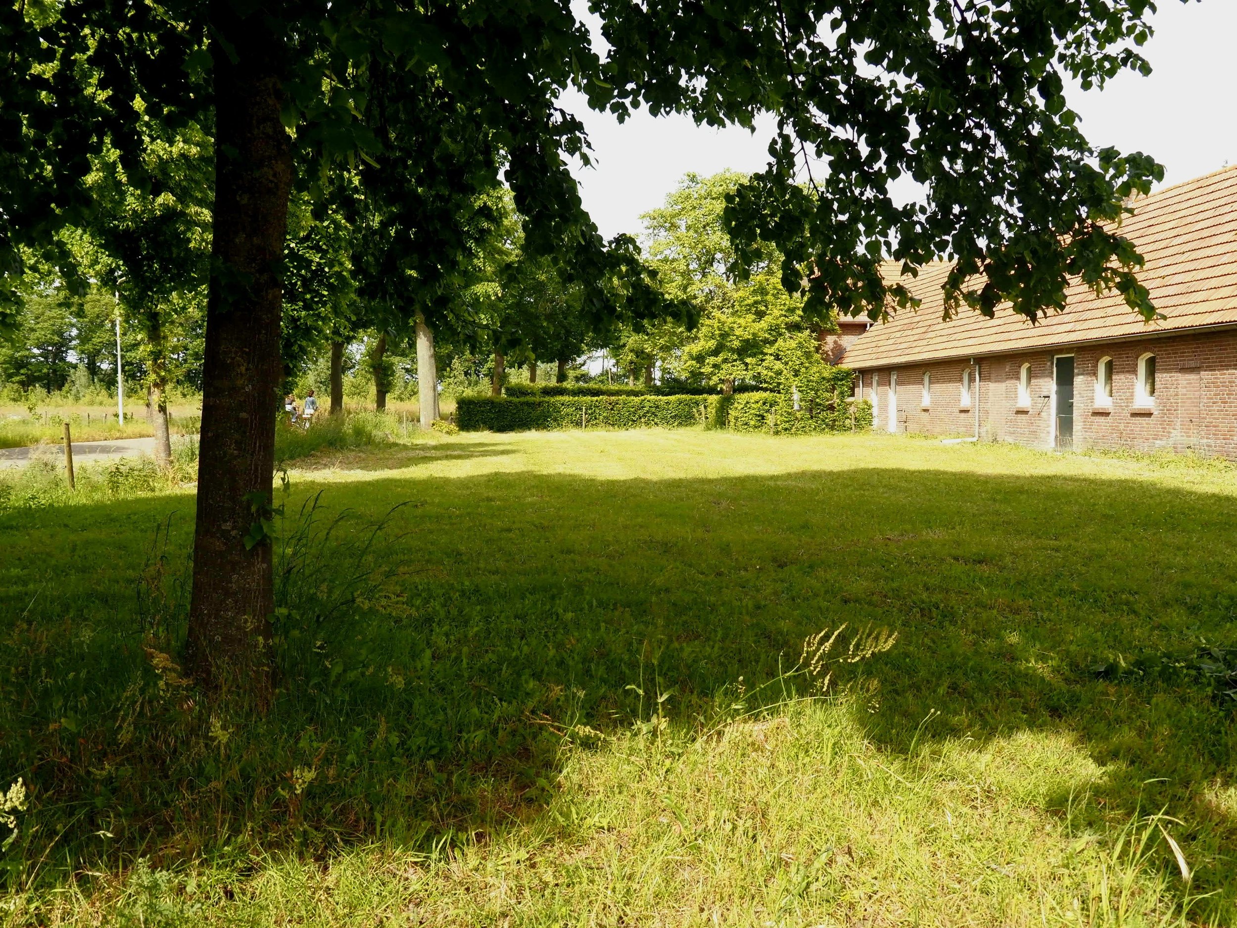 speelweide voor de boerderij.jpg