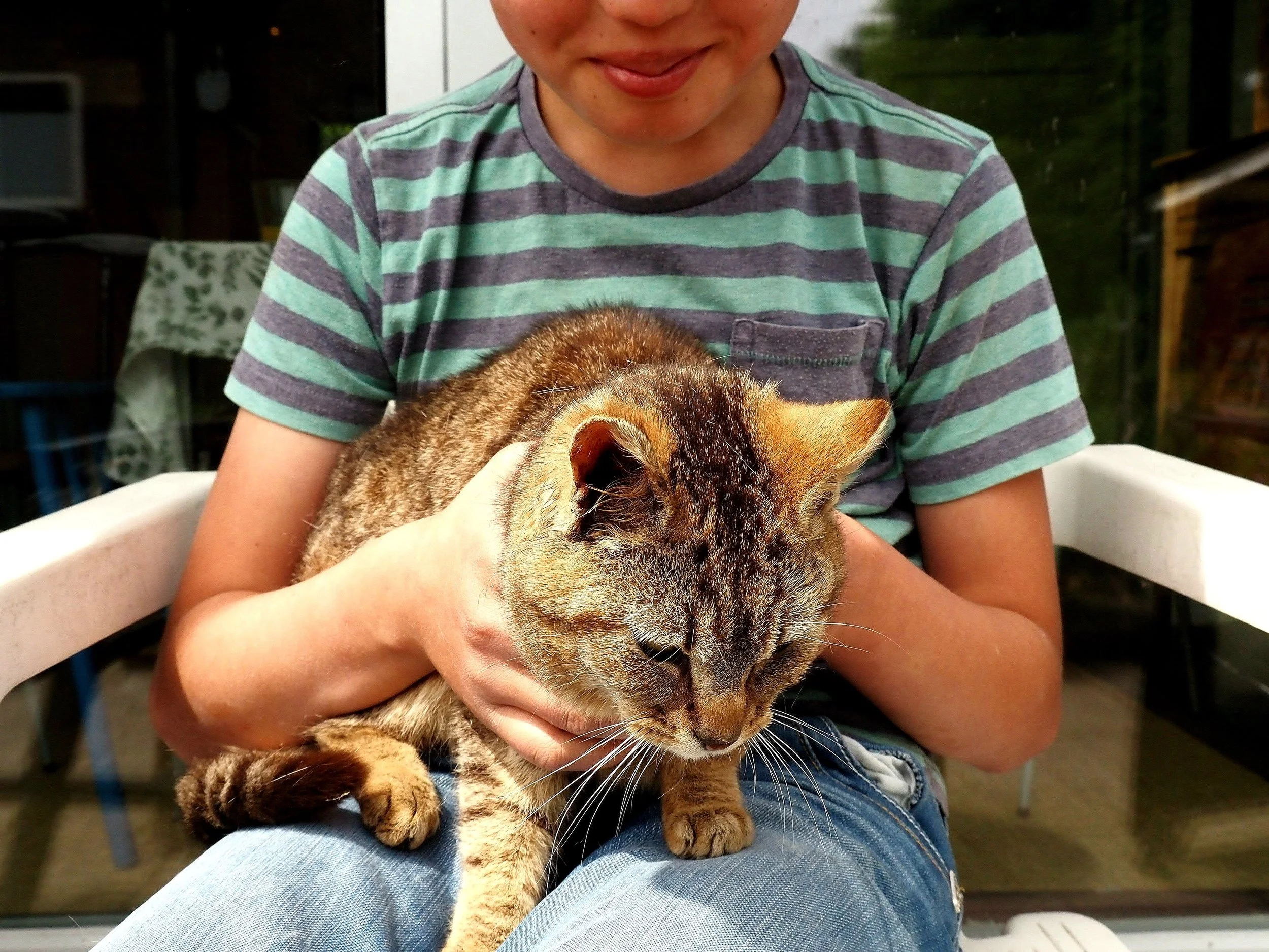 Gerrit heeft Maan op schoot.jpg