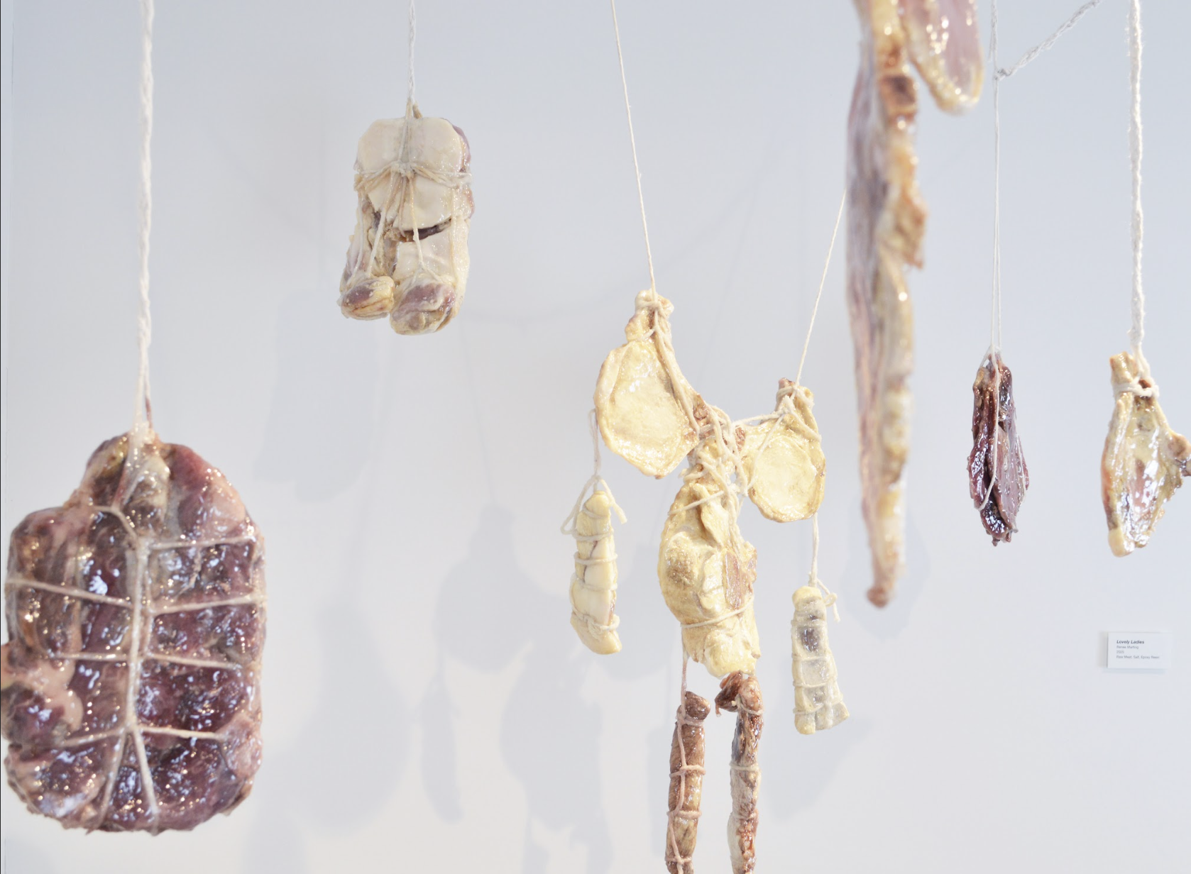 "Lovely Ladies" salt cured meat, butcher's twine, resin