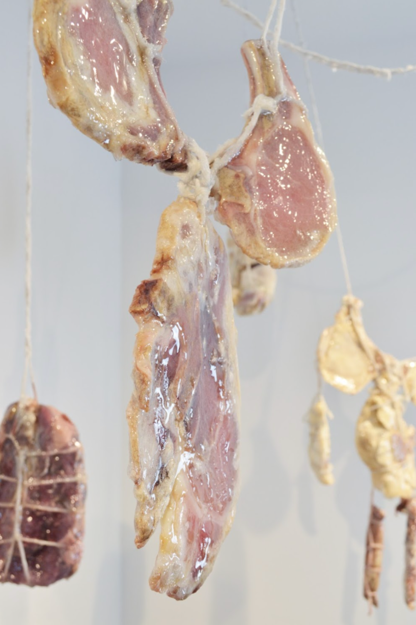 "Lovely Ladies" close up image