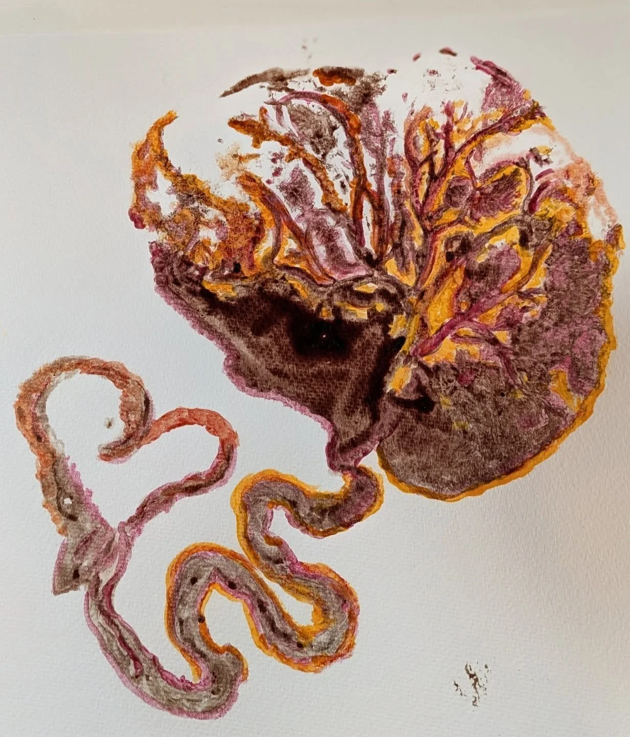 #placentaprint #socool #placentasarerad #theplacentagirl #southjersey