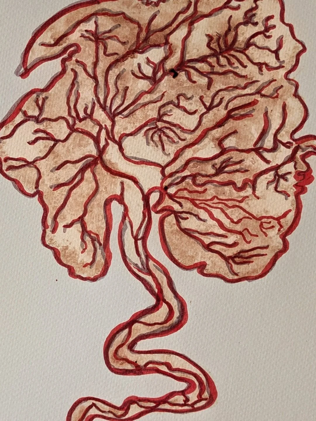 #placentaprint #keepyourplacenta #nottrash #placentapills #southjerseymoms