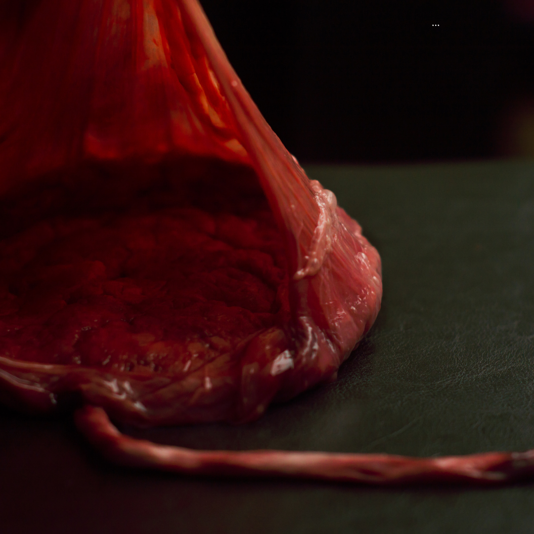 How Much Is a Placenta Really Worth?