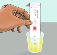 The Validity of the Dried Urine Hormone Testing