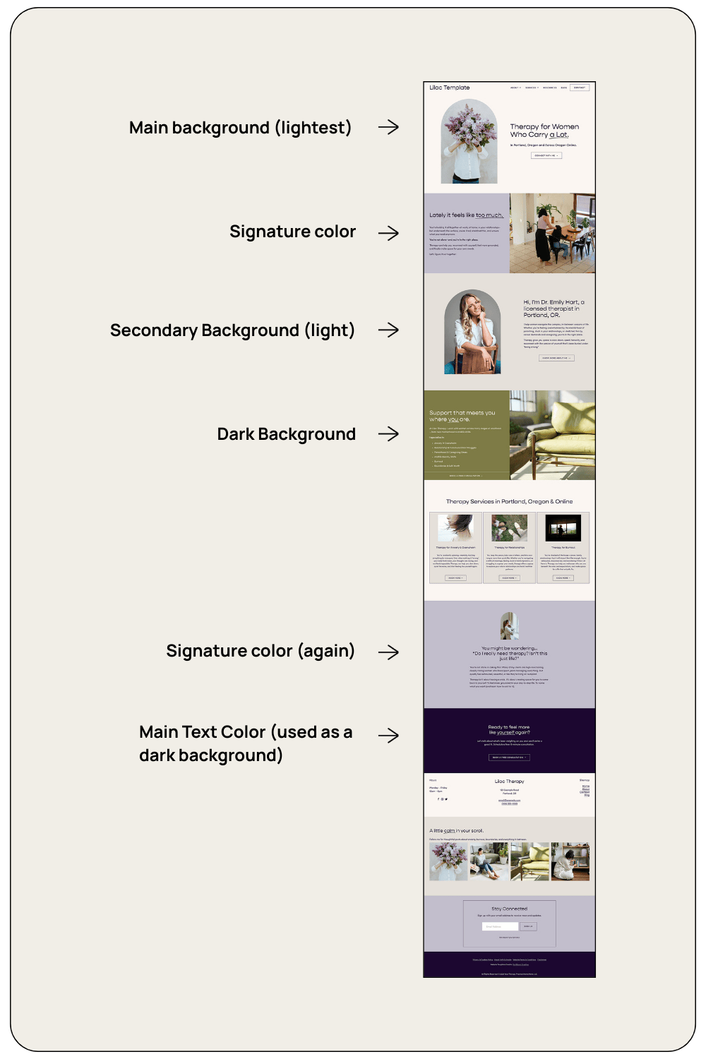 Screenshot of the Lilac Template with labels showing main background, main text color, light background, signature color and dark background.