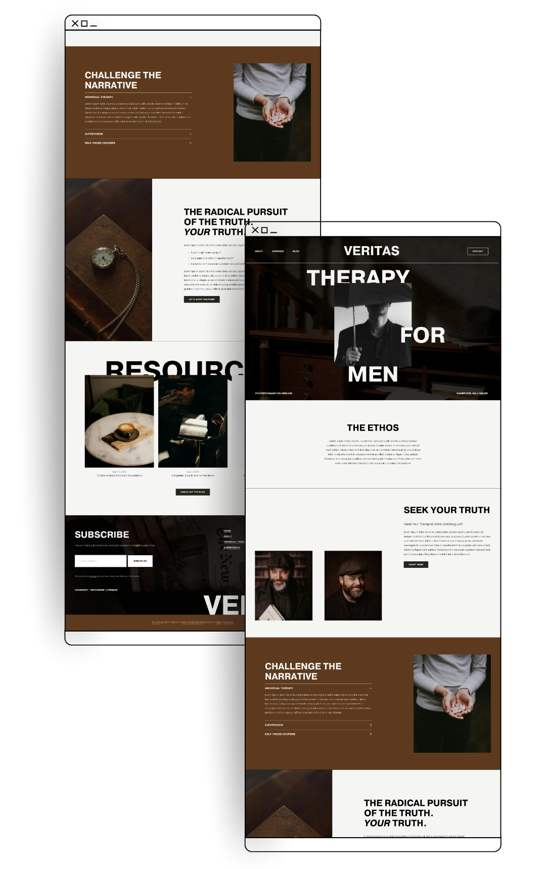 Veritas Homepage Mock up.png