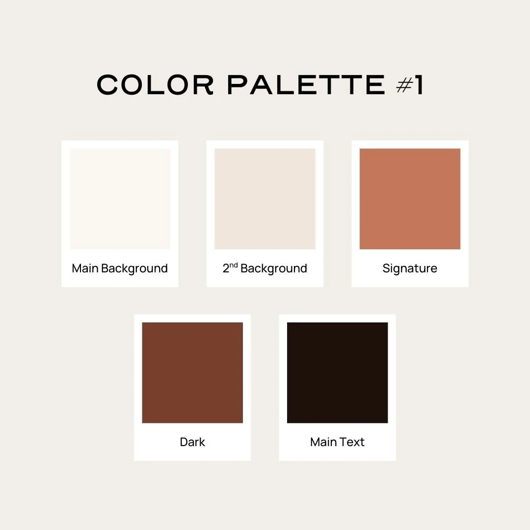 A 5-color palette with terracotta as the signature color