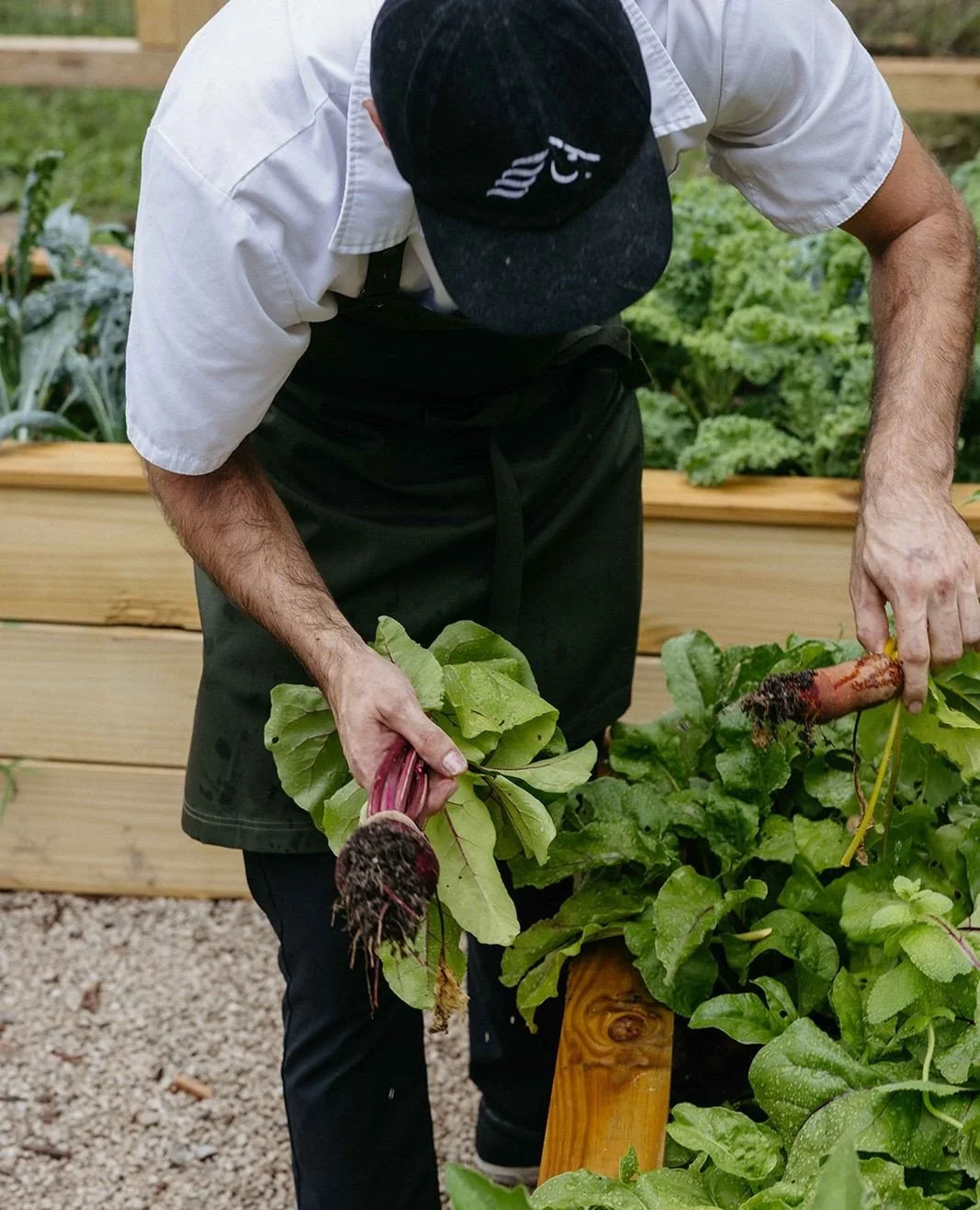 The quiet work before the warmer weather to come. Chef Austin is preparing for the flavors of the seasons ahead at The Barn.