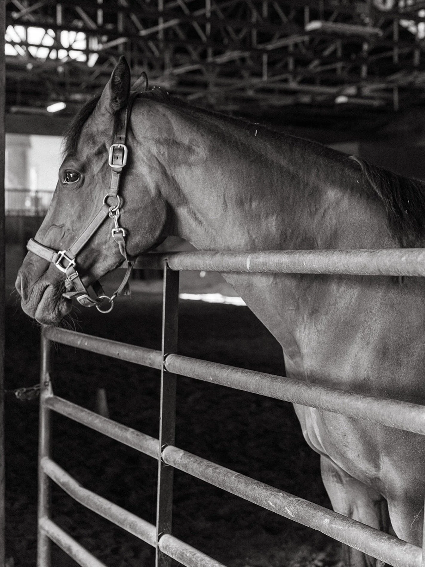 Friendly reminder, the Barn will be taking a brief pause from March 24th ~ April 2nd.