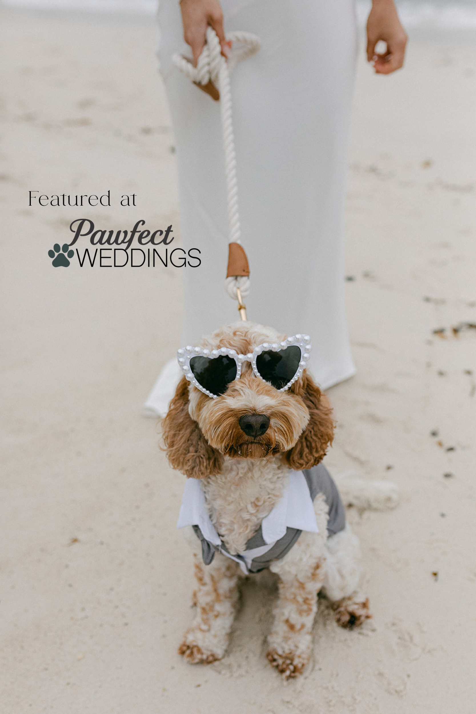 Featured on Pawfect Weddings | Dog Friendly Wedding Tips by Raquel Pires