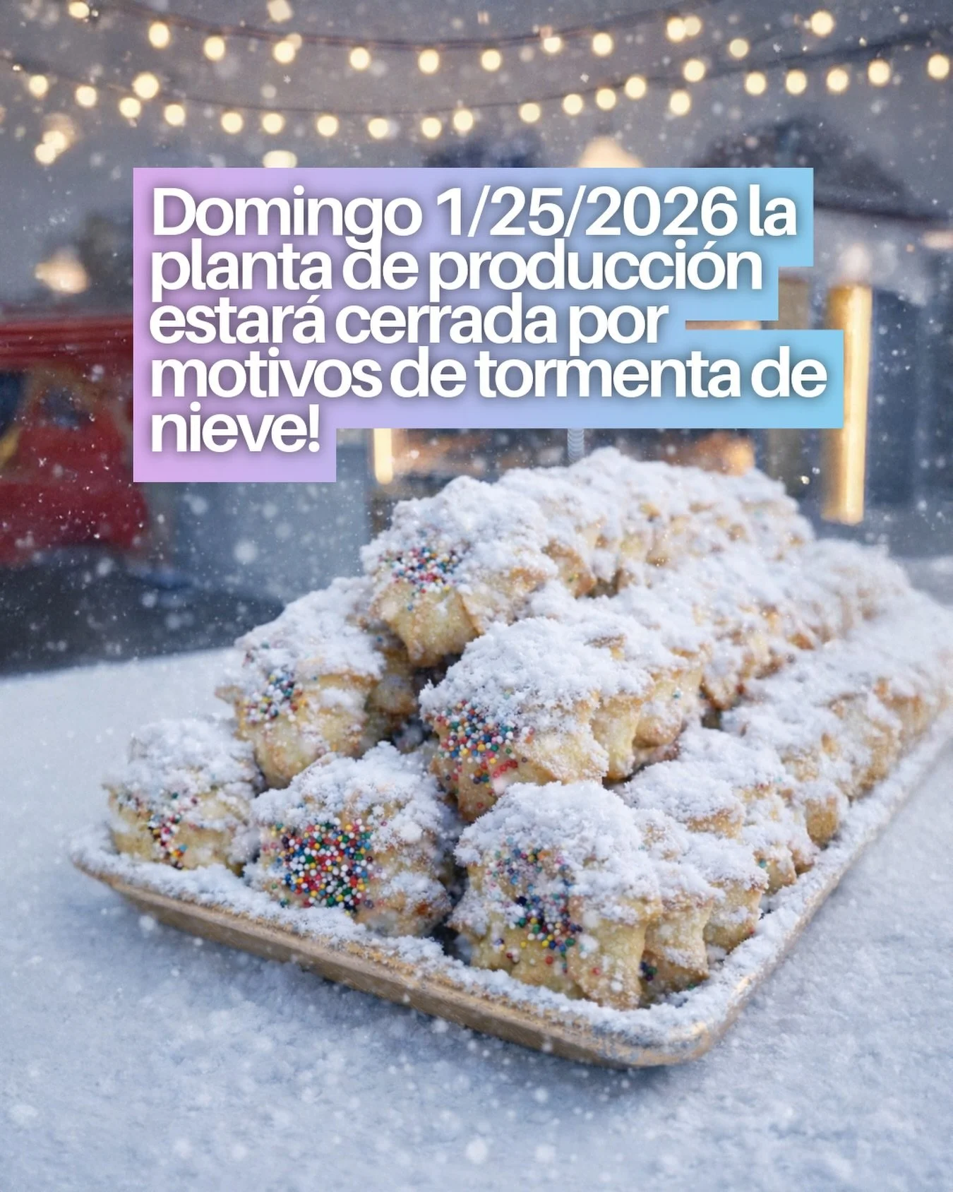 Domingo 1/25/2026 la planta de producci&oacute;n estar&aacute; cerrada por motivos de tormenta de nieve!