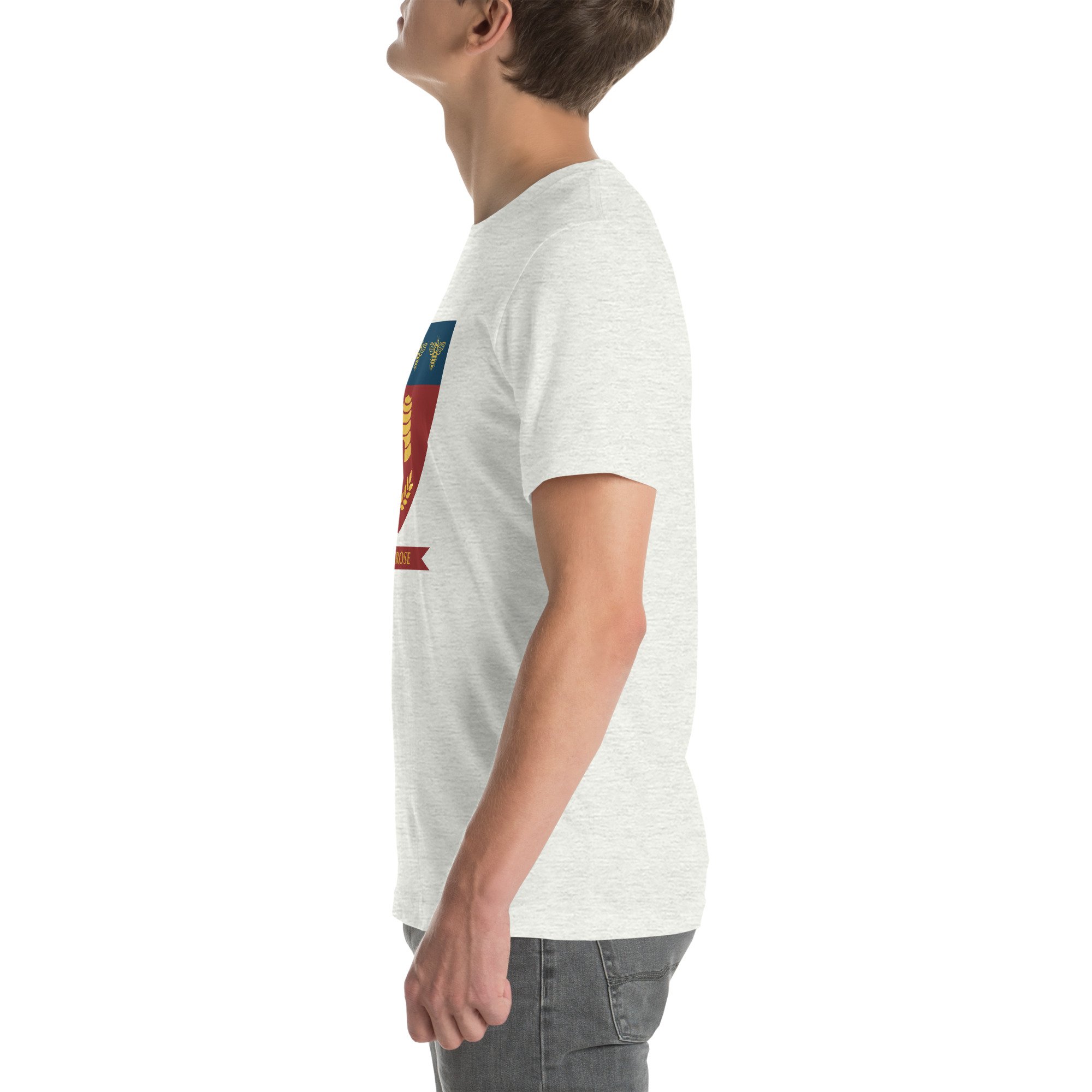 unisex-staple-t-shirt-ash-left-687588a90e09d.jpg