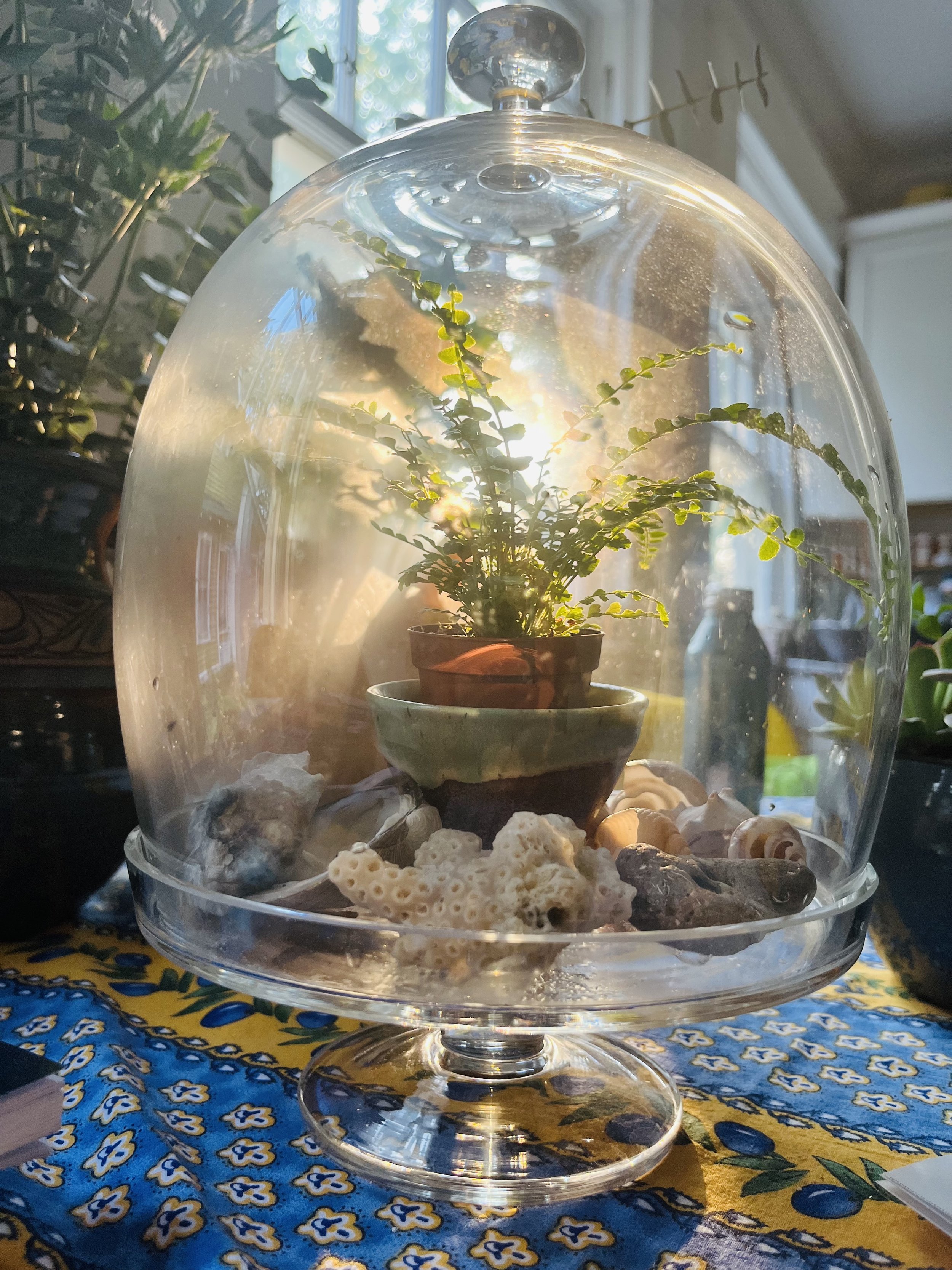 a LITTLE ILLUMINATION
