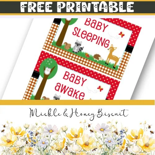 Free Printable - Baby Sleeping and Baby Awake