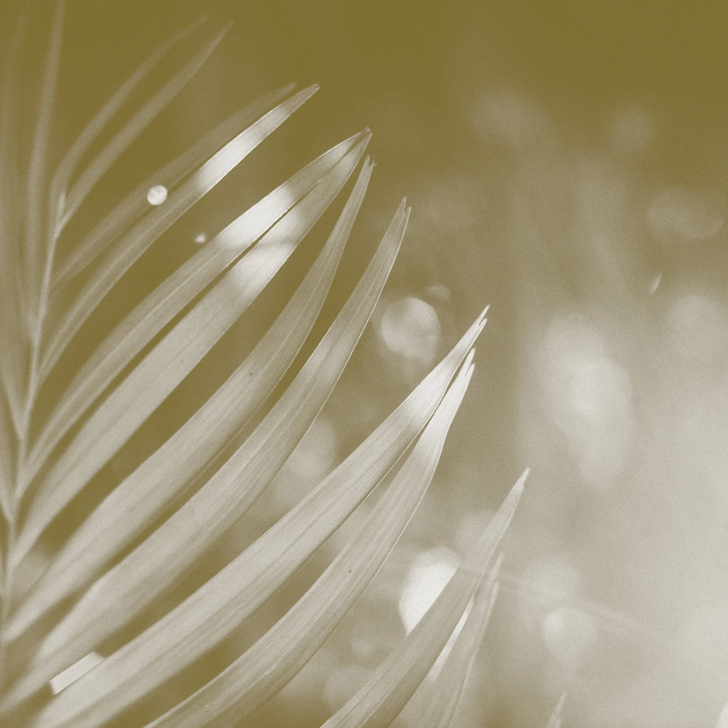 Creative Project Consulting