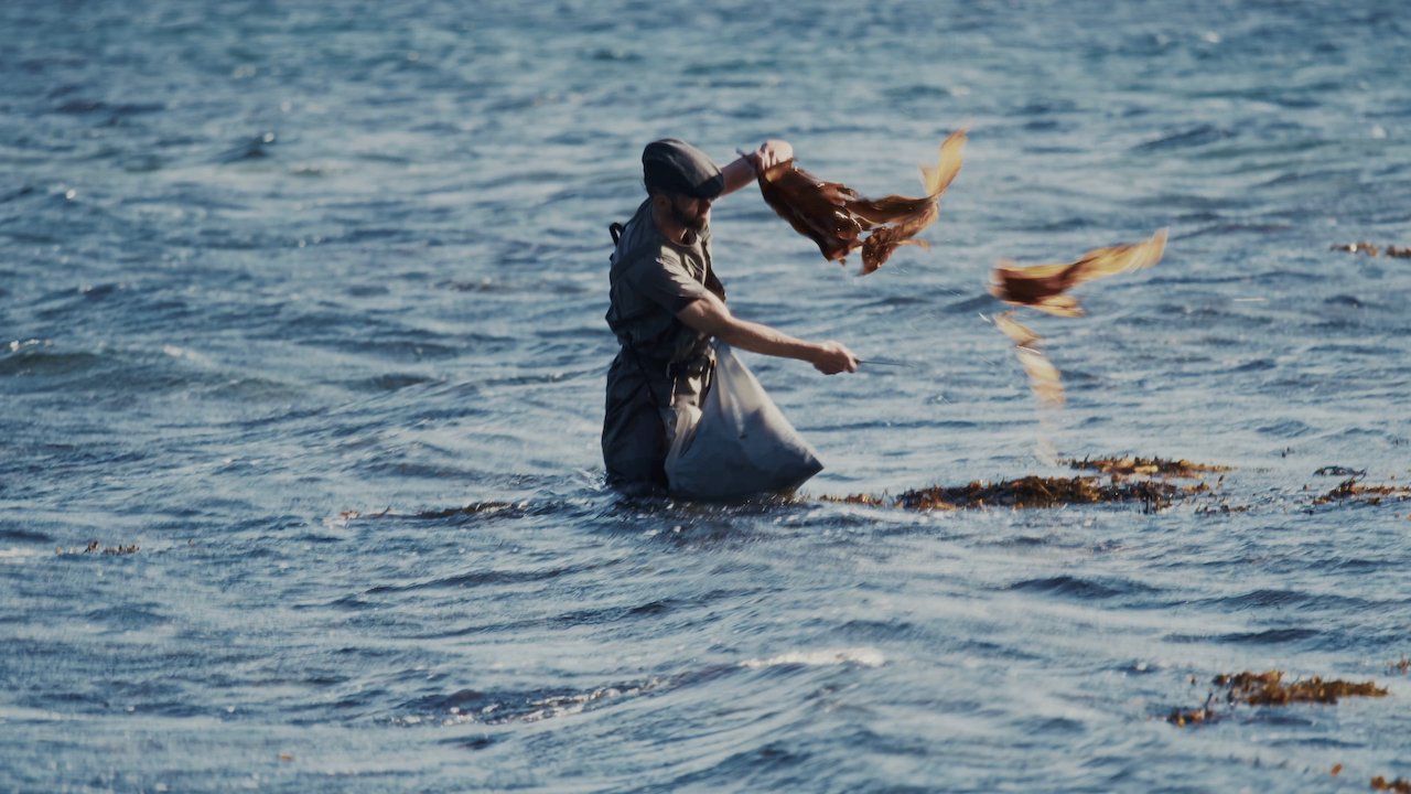 North_Whale_Island - 8.jpeg