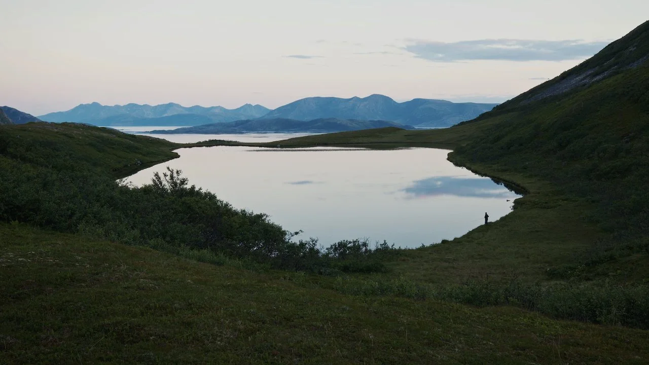 North_Whale_Island - 6.jpeg