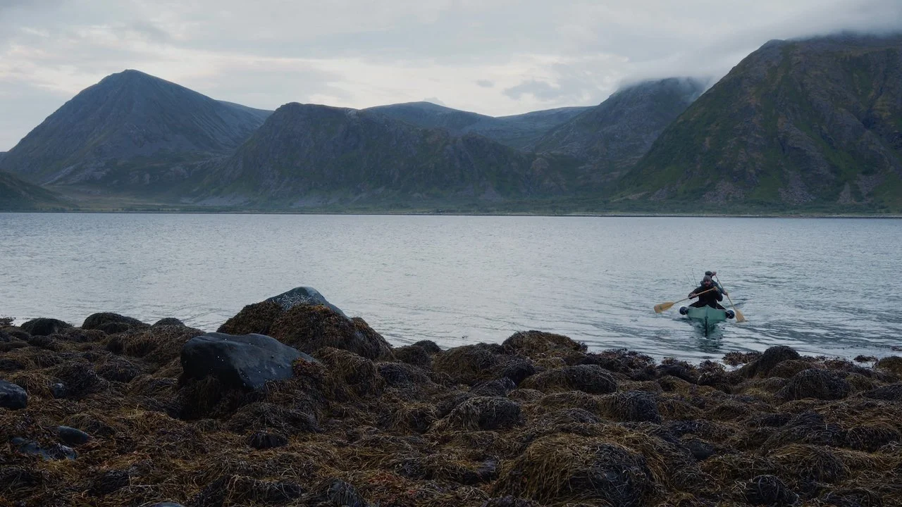 North_Whale_Island - 24.jpeg