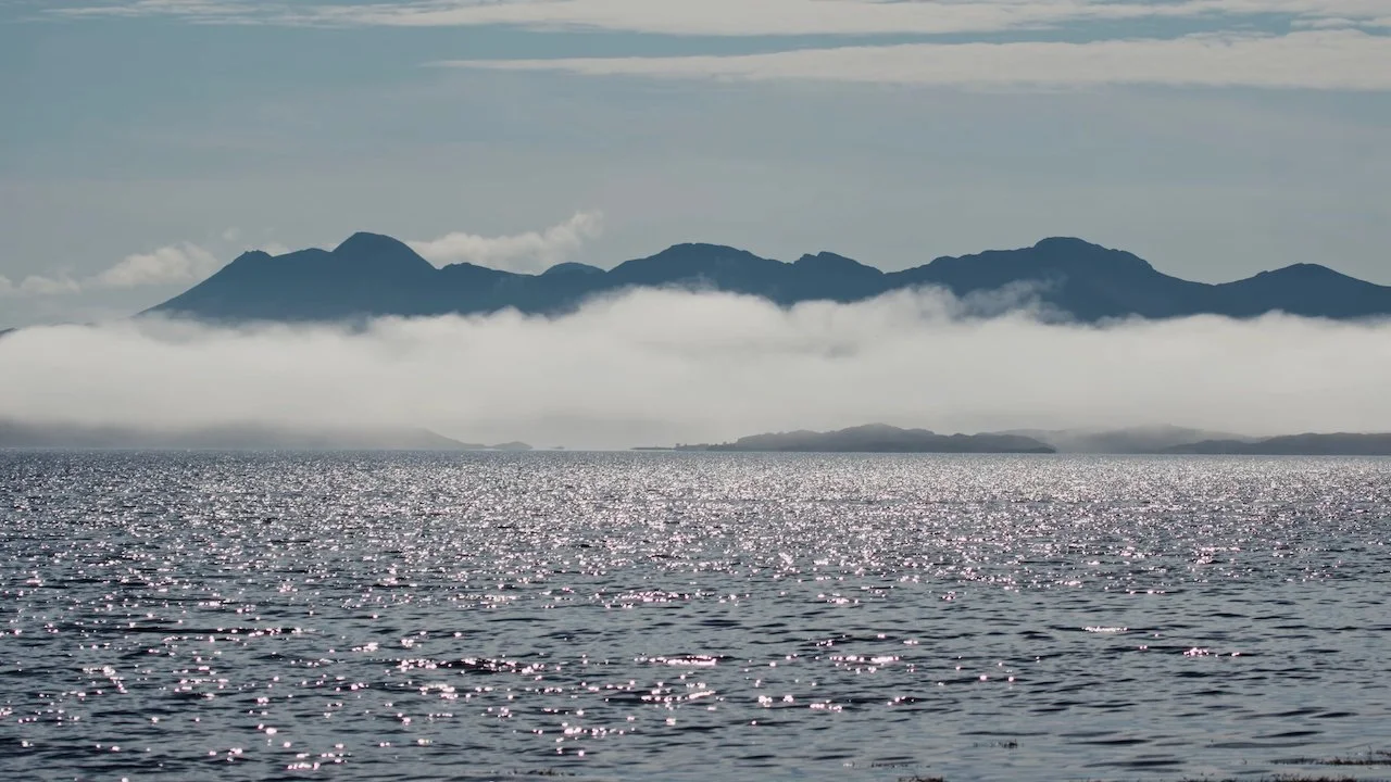 North_Whale_Island - 14.jpeg