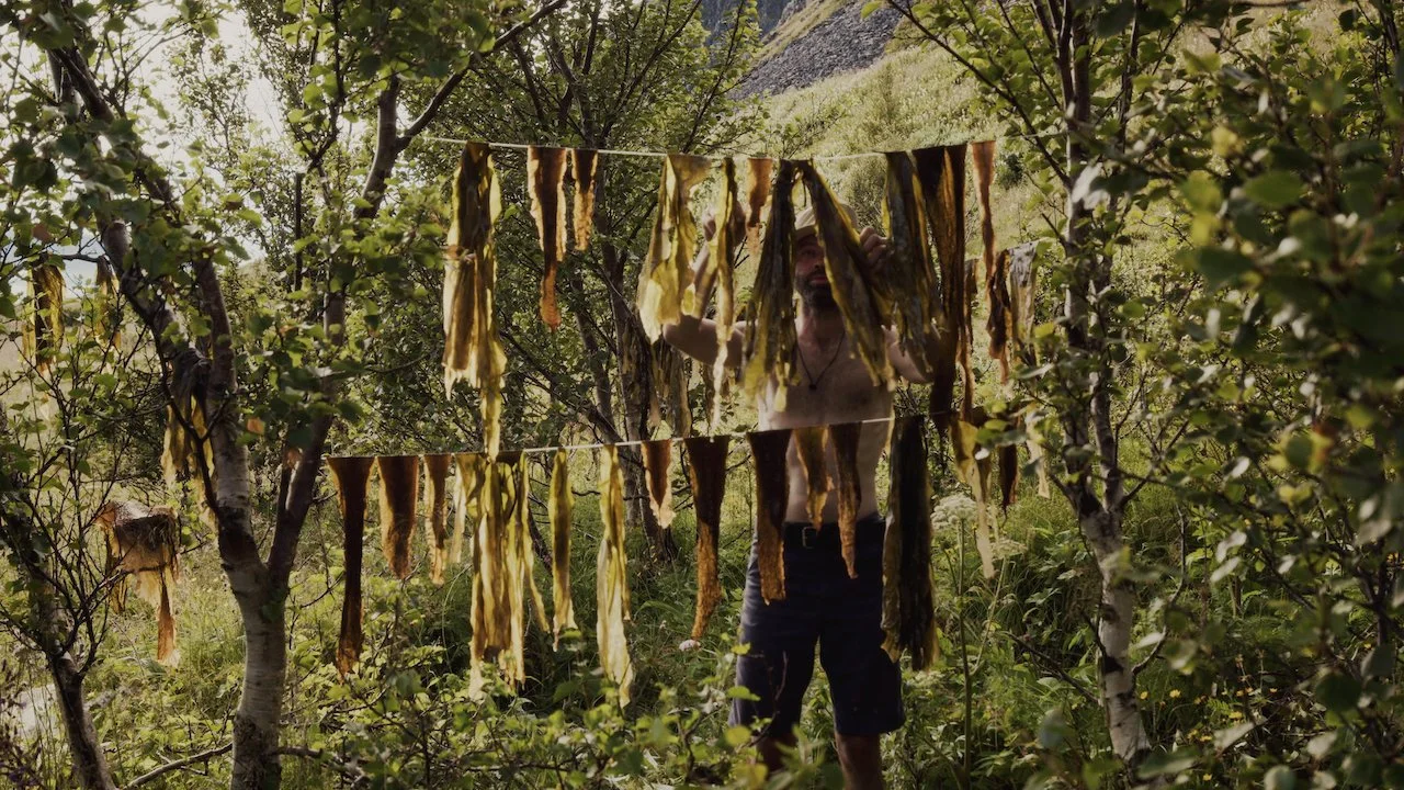 North_Whale_Island - 9.jpeg