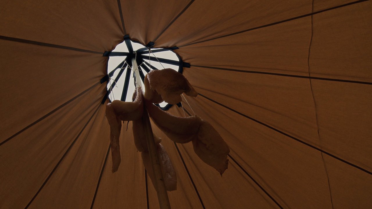 North_Whale_Island - 29.jpeg