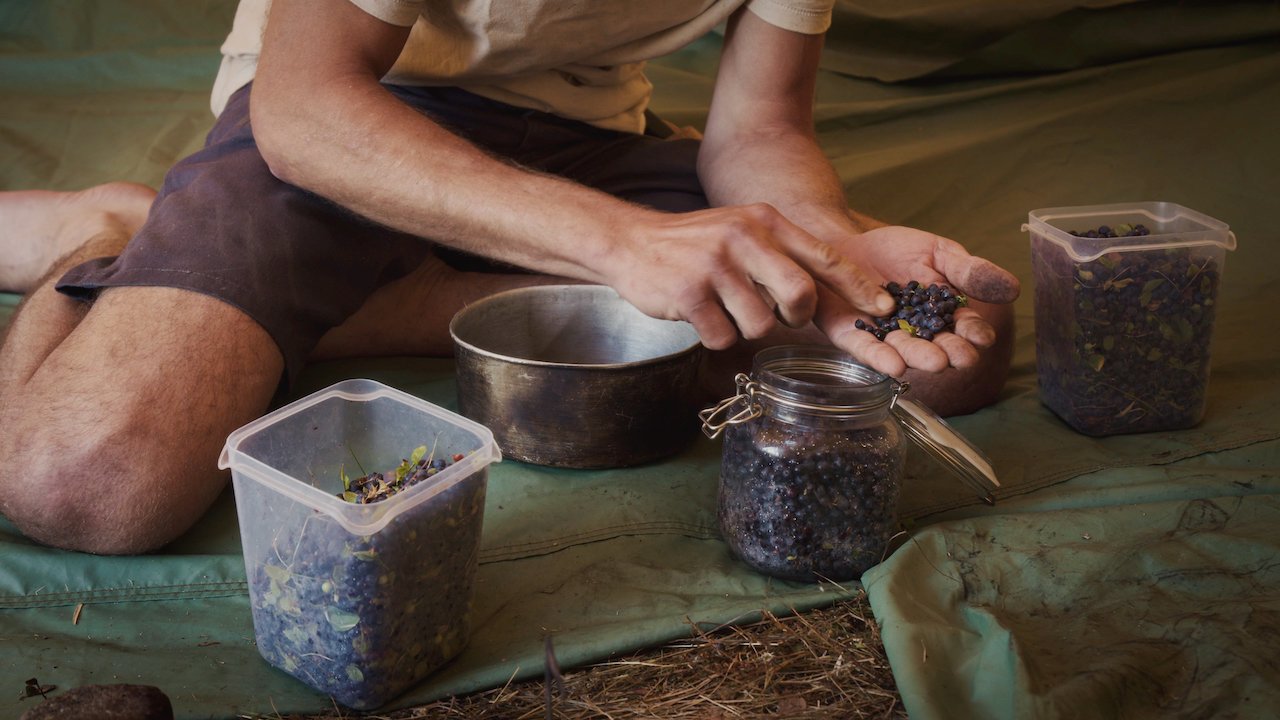 North_Whale_Island - 10.jpeg