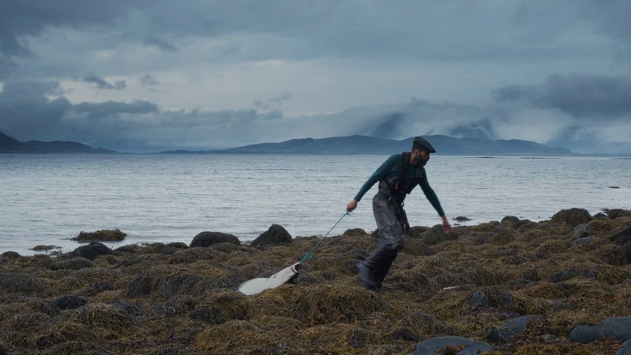 NORTHWHALEISLAND_still_002.jpeg