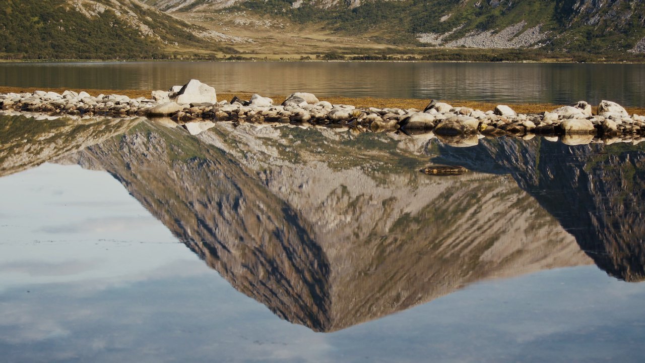 North_Whale_Island - 27.jpeg