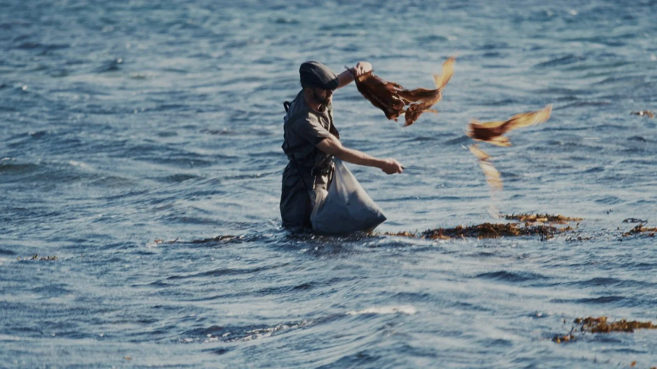 NORTHWHALEISLAND_still_006.jpeg
