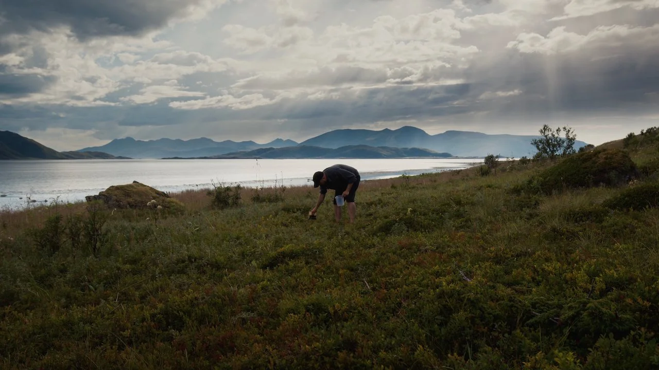 North_Whale_Island - 7.jpeg