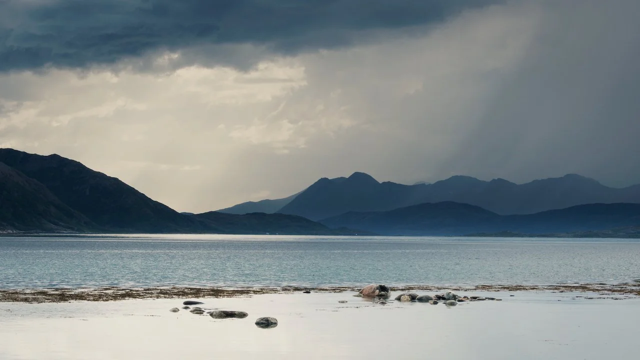 North_Whale_Island - 16.jpeg