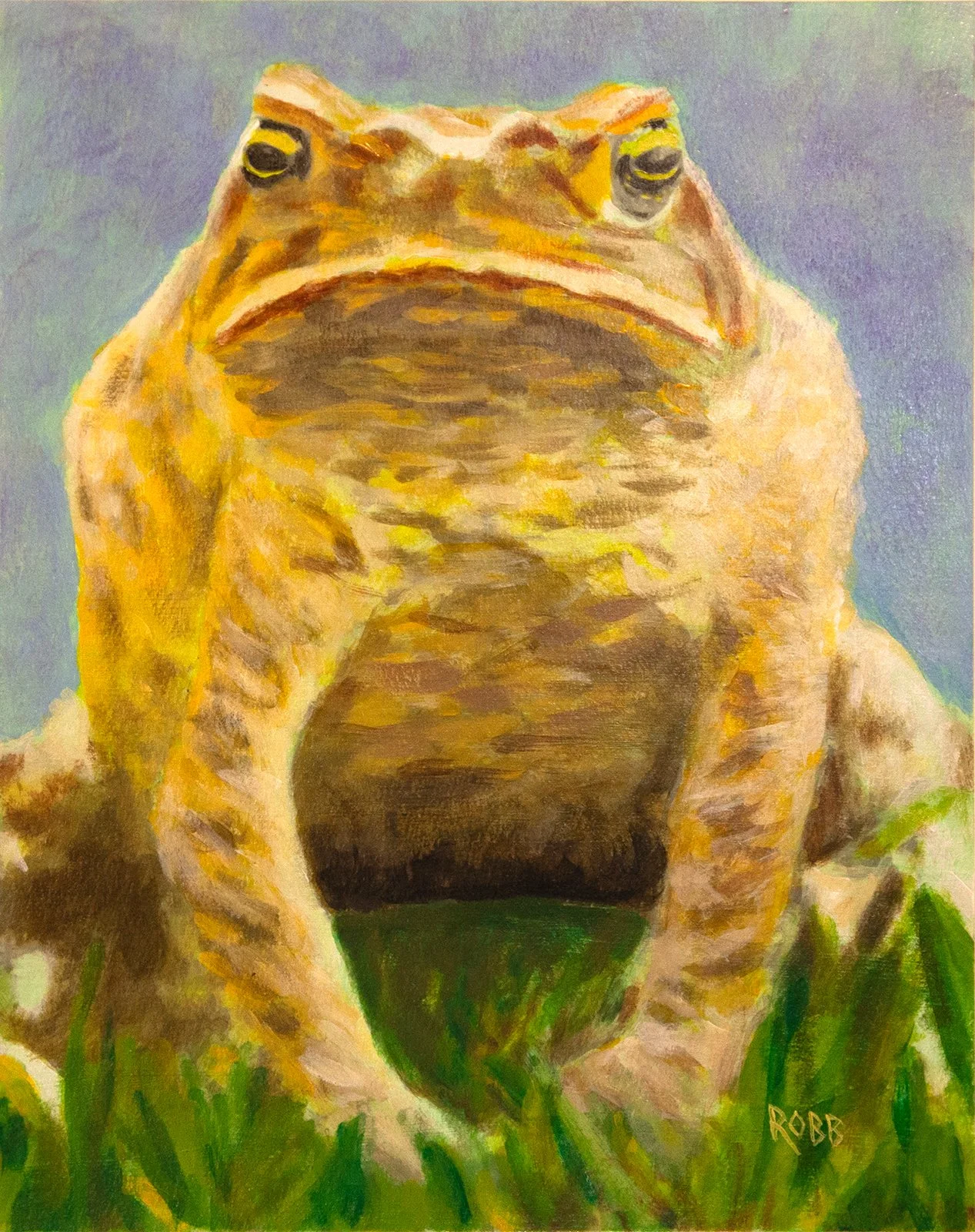 Toad W.jpg
