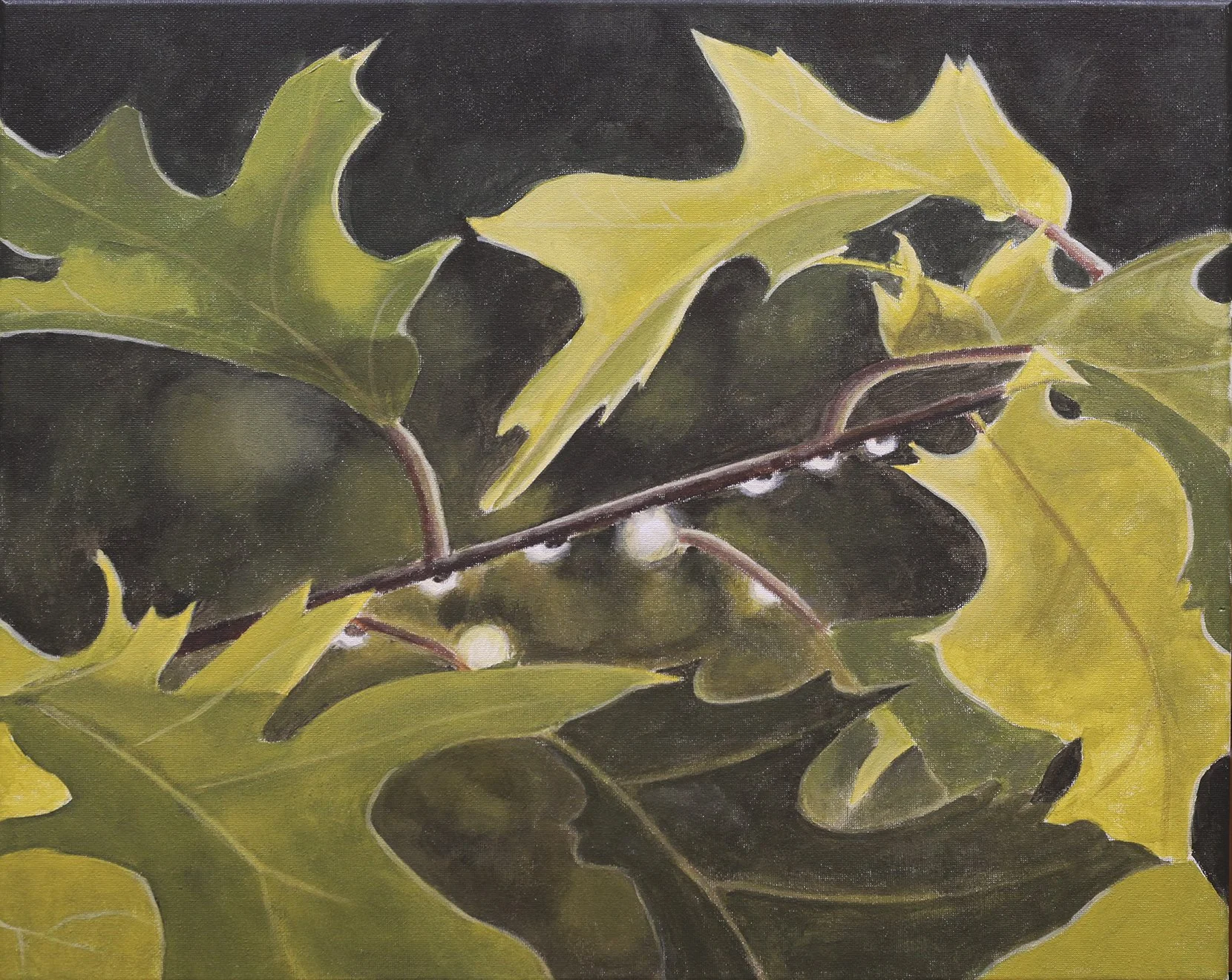 Oak Leaves S.jpg
