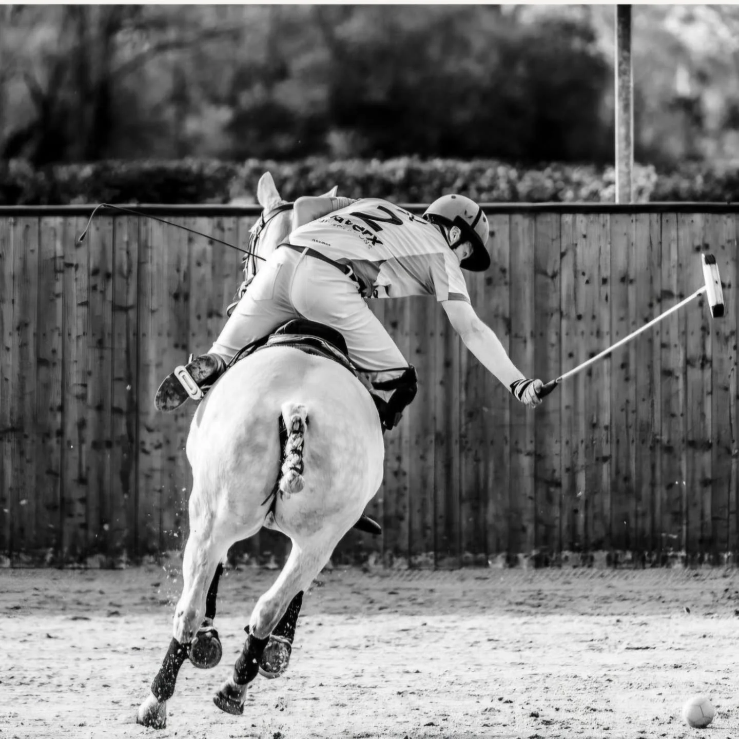 Thank you to @theartofpolo for the fantastic photos from our match