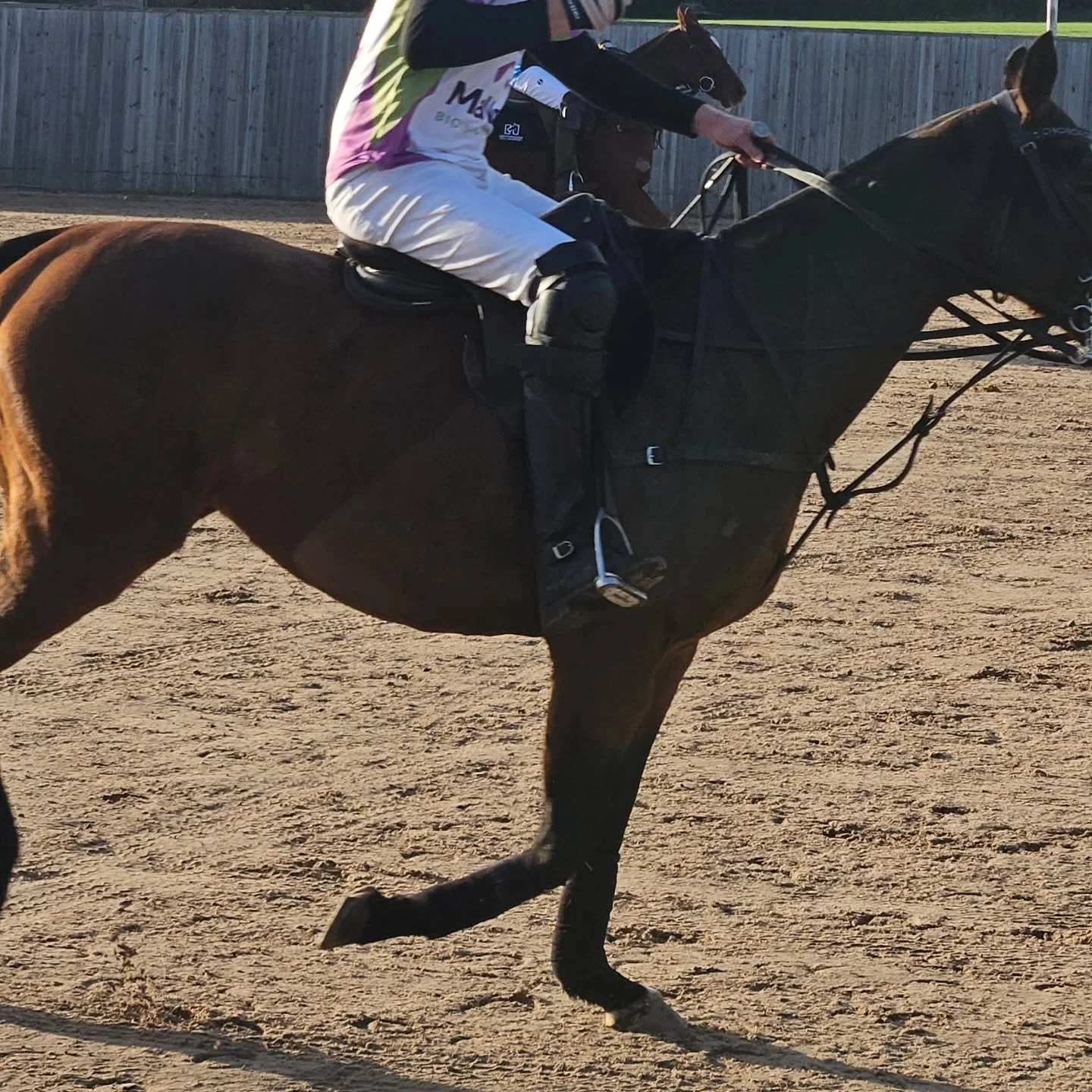 Great 1st day of polo at the Kompas christmas cup, and the weather wasn't to bad either 😎