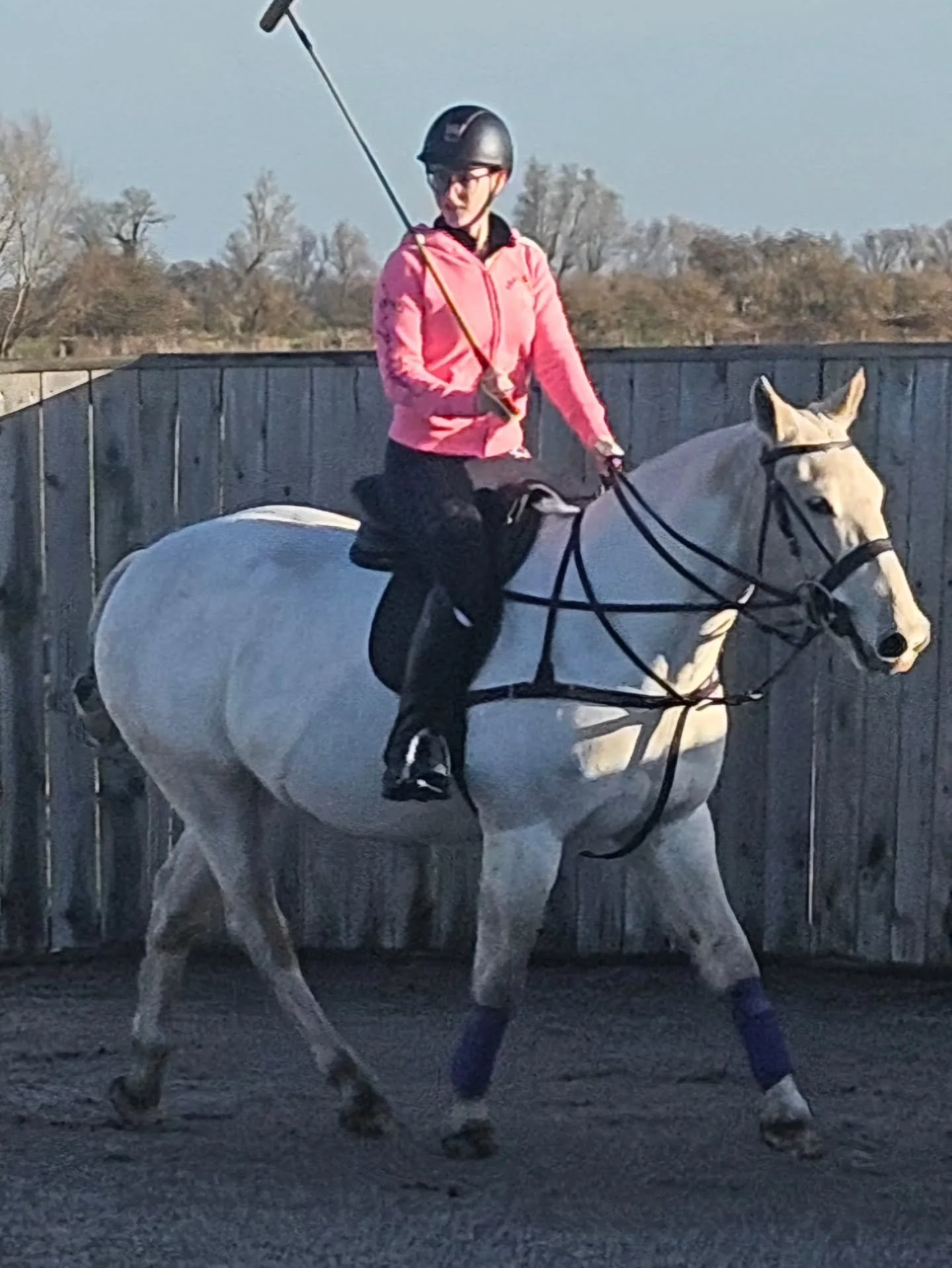 Great lesson with the lovely Izzy, lots of progress made on swings and pony control.
