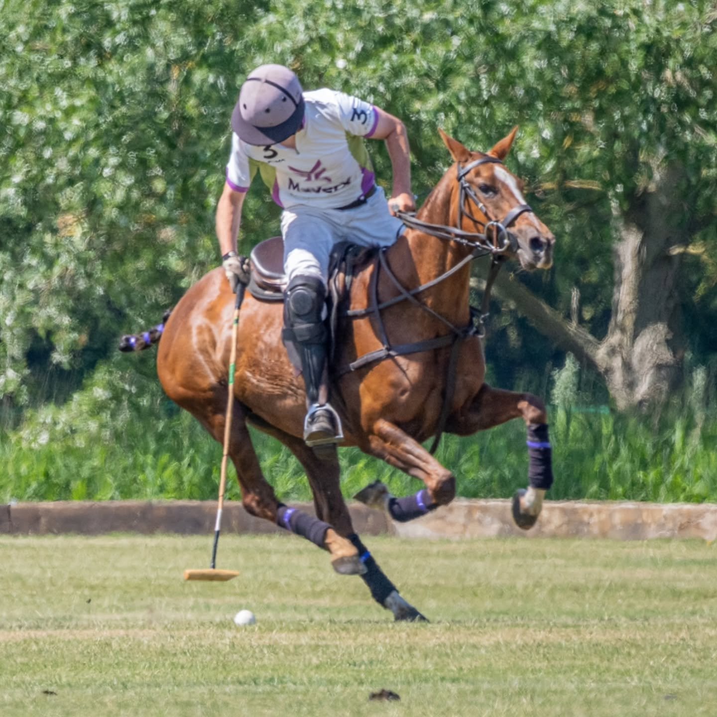 Super weekend at the Maverx tournament with fantastic weather, great polo, and even better company. A brilliant atmosphere all round and wonderful to see everyone enjoying themselves.
#polomatch #poloset #poloteam #polouniversity #poloarena #pololife